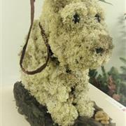Dog on a Lead