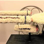 Starship USS Enterprise