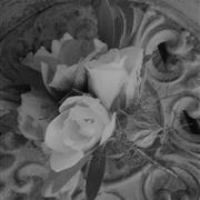 Corsage