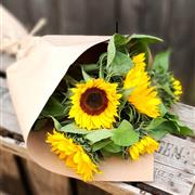 Bunch of sunflowers