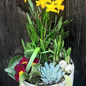 A little bit of Spring