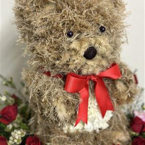 Baby Bear