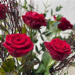 Rose Handtied